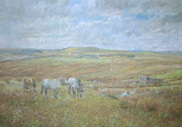 Coal depot, Cwm Bargoed, near Fochriw, Caerphilly South Wales
