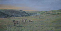 Coed y Moeth, Markham, South Wales