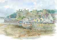 Watercolour paintings of the Conwy