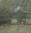 Cows grazing at Trelewis
