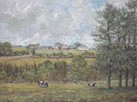 cows grazing. Cwmdu lane, Maesycwmmer