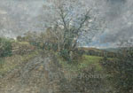 Country lane alongside Pandy Road, Maesycwmmer