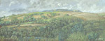llanbradach coal tip