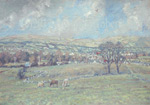 Painting of fields near Nelson