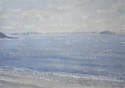 Holm islands from Barry