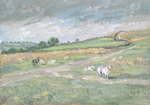 Sheep on Nelson mountain
