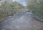 The Rhymney River through Ystrad Mynach