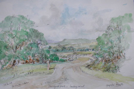 Cycle track-Nelson