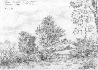 Cwmdu lane, Maesycwmmer.