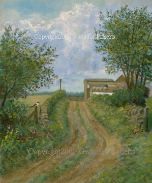The Magpie, Cwmdu lane.