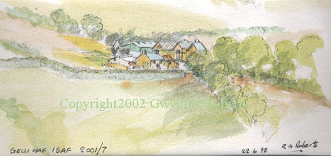 Gelli haf isaf, Maesycwmmer