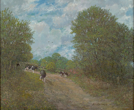 cows grazing. Cwmdu lane, Maesycwmmer