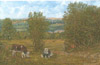 Lower fields alongside the Rhymney River with Lewis Girls' school
