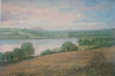 LLandegfedd reservoir, Monmouthshire and Torfaen, South Wales