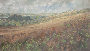 The Graig, Hengoed