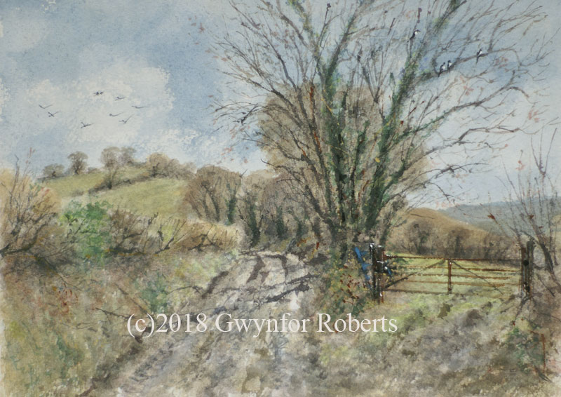 Pandy lane, Maesycwmmer