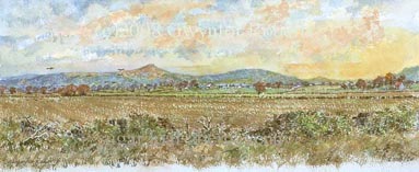 click to view Sugar loaf Landscape