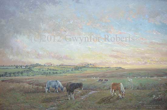 Sunset over Bargoed mountain