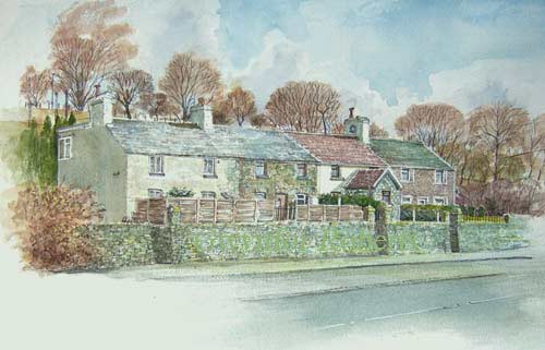 Taiforrest cottages, Nelson